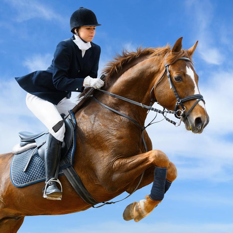 Coolrunner 18 inch Riding Crop for Horse Horse Whip with PU Leather Equestrianism Horse Crop Double Slapper Horse Whip Black Crops for Horses - Image 5